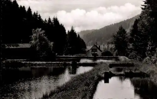 Ak Eußerthal in der Pfalz, Forellenzuchtanstalt