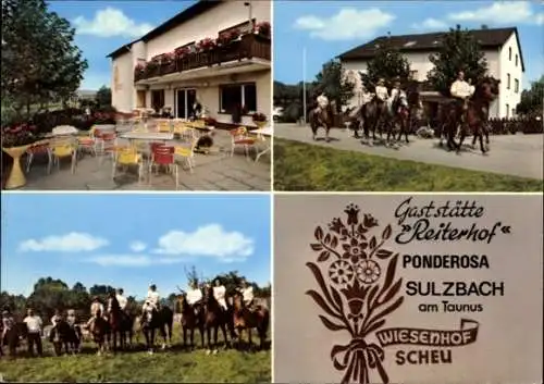 Ak Sulzbach im Taunus, Gaststätte Reiterhof Wiesenhof Scheu Ponderosa, Pferde, Terrasse