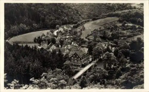 Ak Treseburg Thale im Harz, Teilansicht, Bodetal