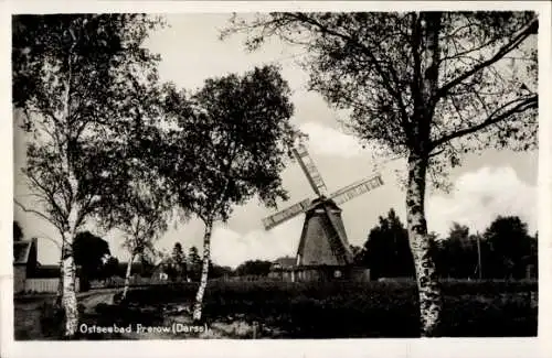 Ak Prerow Darß bei Zingst, Blick auf die Windmühle