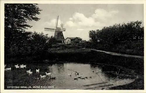 Ak Ostseebad Graal Müritz, Windmühle, Teich
