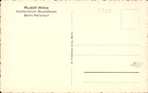 Ak Berlin Tempelhof Mariendorf, Horstenstein, Horstensteiner Baumschulen Rudolf Wilke