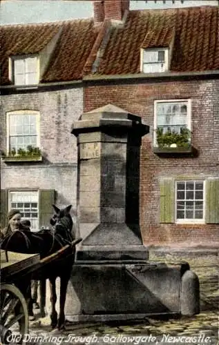 Ak Newcastle upon Tyne Northumberland England, Old Drinking Trough, Gallowgate