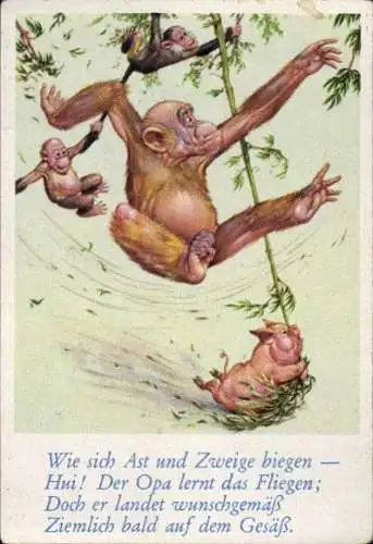 Sammelbild Lustige Bilder Nr. 21, Orang Utan und Schwein auf Lianen