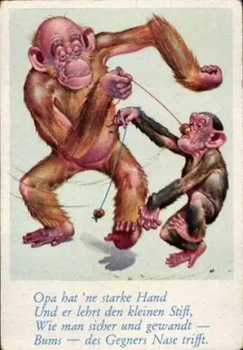 Sammelbild Lustige Bilder Nr. 38, Orang Utan