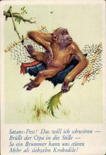 Sammelbild Lustige Bilder Nr. 35, Orang Utan auf einer Hängematte