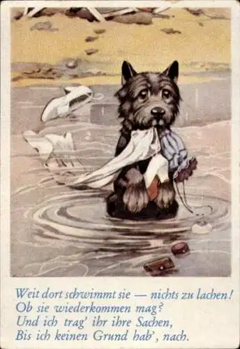 Sammelbild Lustige Bilder Nr. 179, Terrier mit Frauenkleidung in der Schnauze