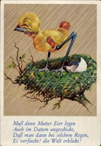 Sammelbild Lustige Bilder Nr. 144, Küken in einem Nest im Regen