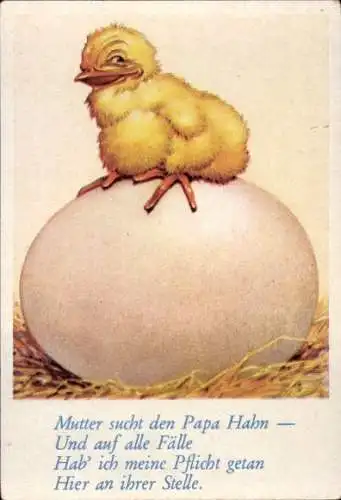 Sammelbild Lustige Bilder Nr. 143, Küken sitzt auf einem Ei