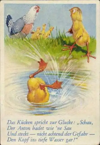 Sammelbild Lustige Bilder Nr. 128, Küken, Huhn