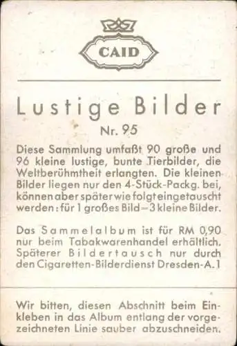 Sammelbild Lustige Bilder Nr. 95, Schimpanse in Unterwäsche