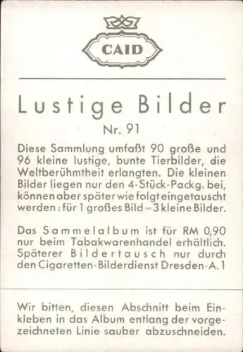 Sammelbild Lustige Bilder Nr. 91, Opa zürnt, Schimpansen, Affen