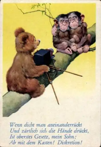 Sammelbild Lustige Bilder Nr. 89, Teddy als Fotograf, Schimpansen