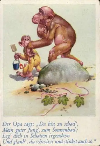 Sammelbild Lustige Bilder Nr. 68, Orang Utans am Strand