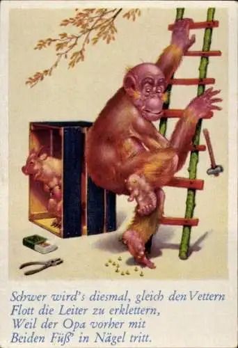 Sammelbild Lustige Bilder Nr. 56, Orang Utan tritt auf Nägel, Schwein, Leiter