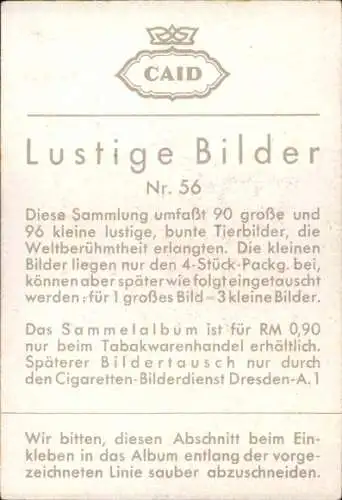 Sammelbild Lustige Bilder Nr. 56, Orang Utan tritt auf Nägel, Schwein, Leiter