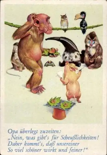 Sammelbild Lustige Bilder Nr. 53, Orang Utan, Schwein, Ameisenbär, Vögel, Affen