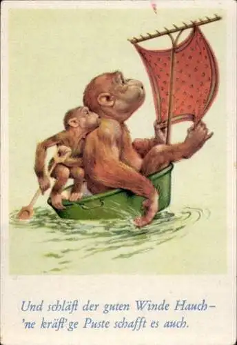 Sammelbild Lustige Bilder Nr. 4, Orang Utans in einem Bottich als Segelboot