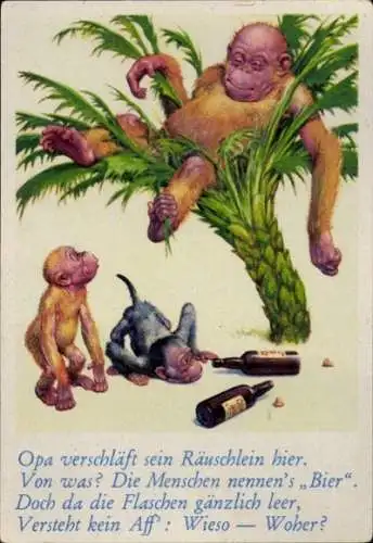 Sammelbild Lustige Bilder Nr. 50, Betrunkener Orang Utan auf einer Palme