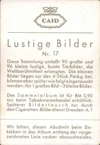 Sammelbild Lustige Bilder Nr. 17, Orang Utan auf einer Palme