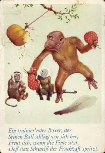 Sammelbild Lustige Bilder Nr. 13, Orang Utan beim Boxen