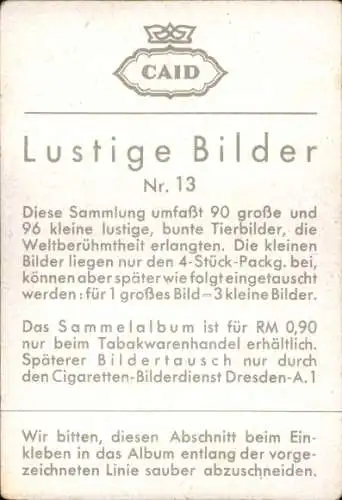 Sammelbild Lustige Bilder Nr. 13, Orang Utan beim Boxen