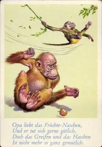 Sammelbild Lustige Bilder Nr. 20, Orang Utan, Affe mit einer Liane schwingend