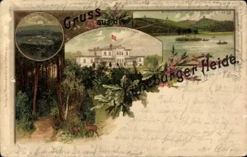 Litho Dorfmark Bad Fallingbostel Lüneburger Heide, Erholungshaus Achterberg, Waldpartie