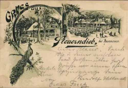 Litho Groß Buchholz Hannover in Niedersachsen, Gaststätte Steuerndieb, Pfau