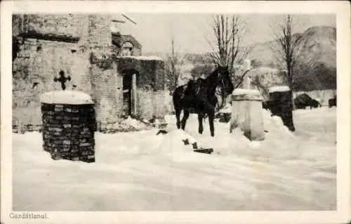 Ak Gazdatlanul Ungarn ?, Pferd auf einem Friedhof, Winteransicht