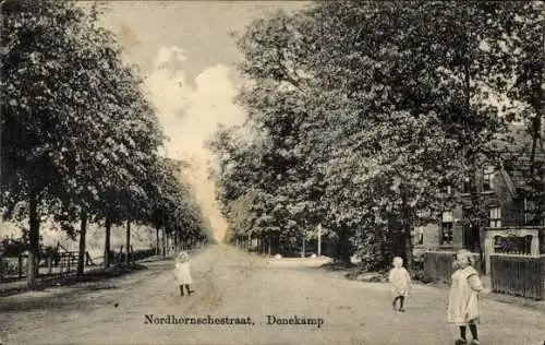 Ak Denekamp Overijssel Niederlande, Nordhornschestraat