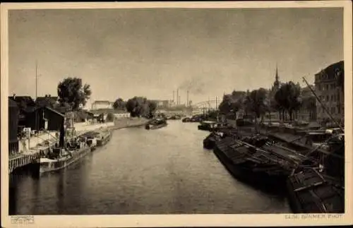 Ak Werder Magdeburg an der Elbe, Zollelbe, Anlegestelle, Binnenschiffe