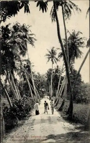 Ak Colombo Ceylon Sri Lanka, A Bye Path