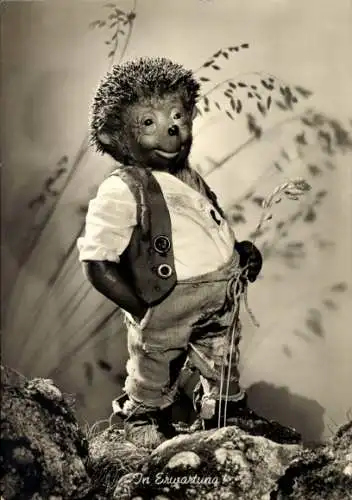 Ak Mecki der Igel, In Erwartung