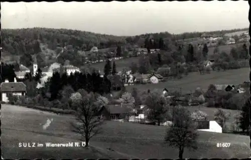 Ak Sulz im Wienerwald, Teilansicht