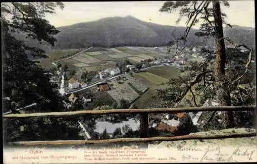 Ak Oybin in Sachsen, Blick auf den Ort mit Hochwald vom Bergringwege