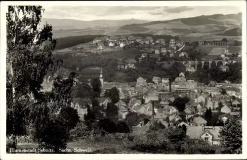 Ak Sebnitz Sächsische Schweiz, Panorama