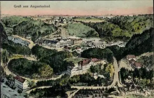 Künstler Ak Augustusbad Radeberg in Sachsen, Panorama