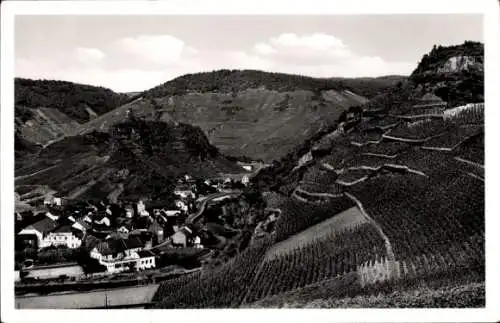 Ak Mayschoß an der Ahr, Blick auf den Ort mit Sattenburg, Weinberge