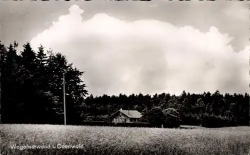 Ak Wagenschwend Limbach im Odenwald Baden, Haus, Gasthaus Zur Linde, Feld