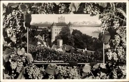 Ak Meersburg am Bodensee, Burg, Weintrauben