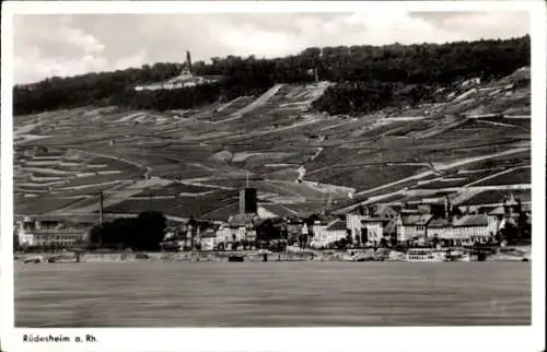 Ak Rüdesheim am Rhein, Panorama, Gesamtansicht, Germania