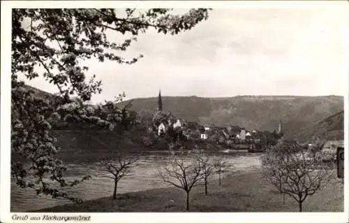 Ak Neckargemünd am Neckar, Gesamtansicht, blühende Bäume