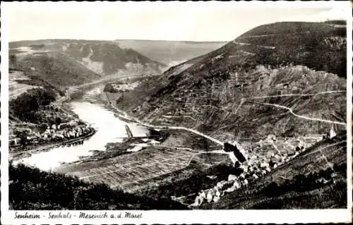 Ak Senheim an der Mosel, Panorama