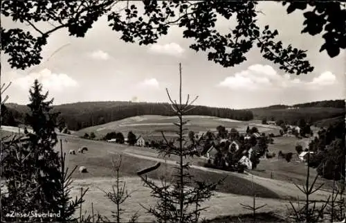 Ak Zinse Erndtebrück in Westfalen, Panorama