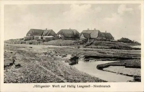 Ak Hilligenlei Hallig Langeneß Nordfriesland, Nordmarsch