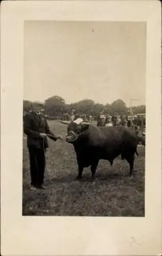 Foto Ak Olufsminde Dänemark, Hans Wölk, Bulle