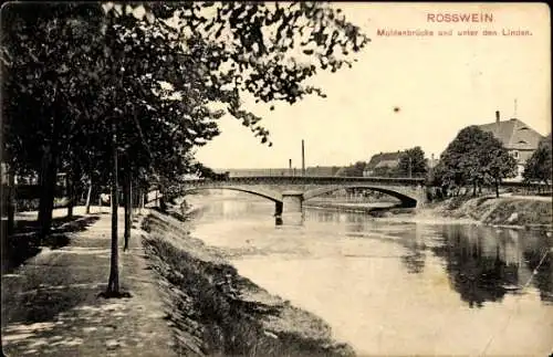 Ak Roßwein in Sachsen, Muldenbrücke, unter den Linden