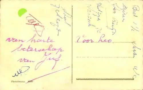 Ak Junge Katze, Tierportrait