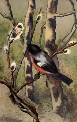 Ak Vogel hat ein Baby gefunden, Geburt, Weidenkätzchen